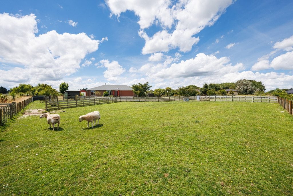 169 Greer Court, Bunnythorpe, Palmerston North - Carousel 30