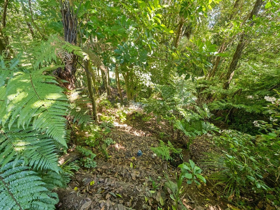 91 Manu Crescent, Upper Vogeltown, New Plymouth - Carousel 31