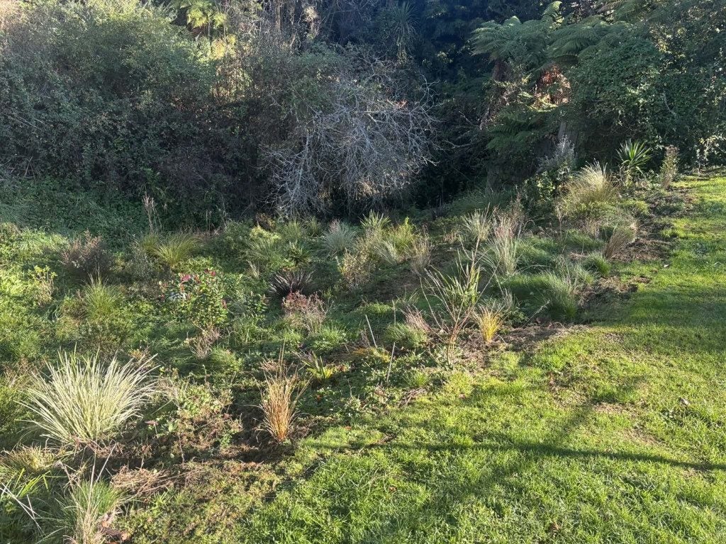 15 WINDSOR STREET, SPRINGFIELD, Rotorua - Carousel 18