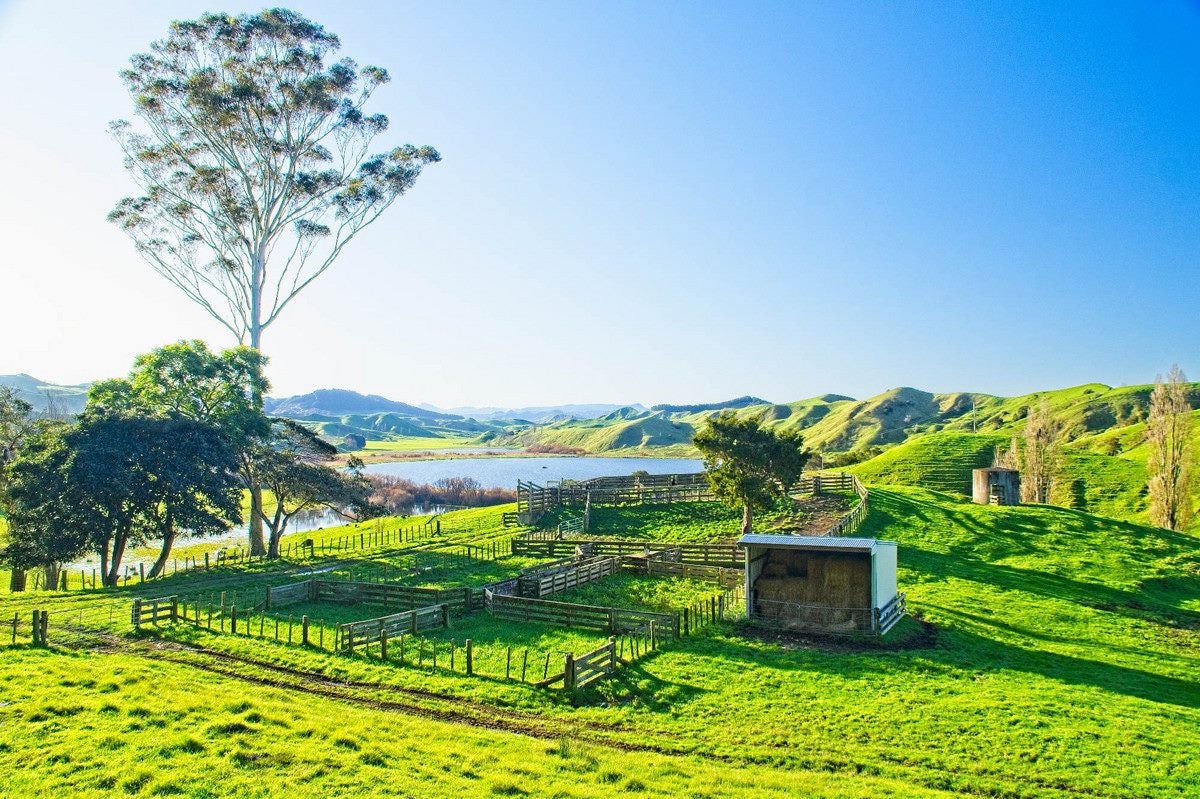 0 Lake Road, Raglan, Taupiri - Carousel 2