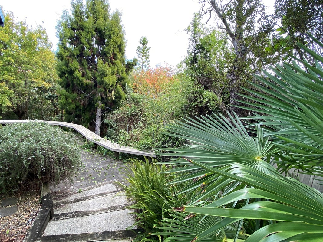 60 Cheriton Road, Mellons Bay, Auckland - Carousel 2
