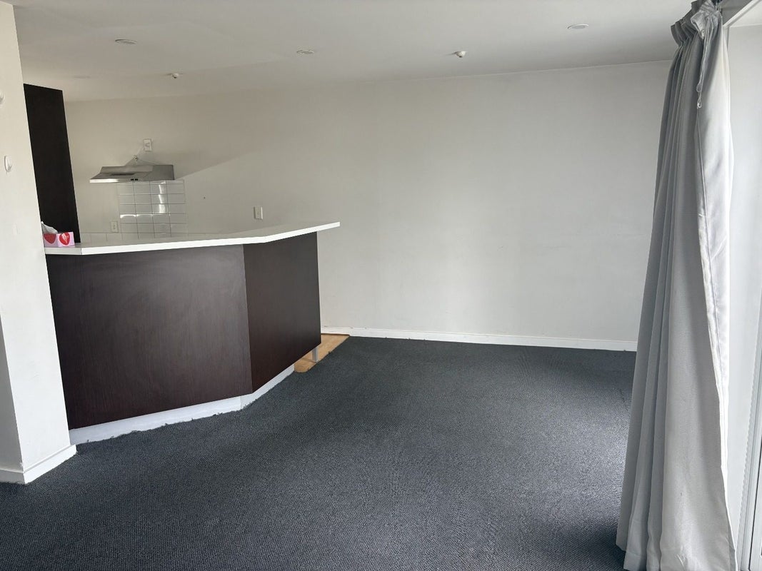 2D Western Springs Road, Morningside, Auckland - Carousel 4