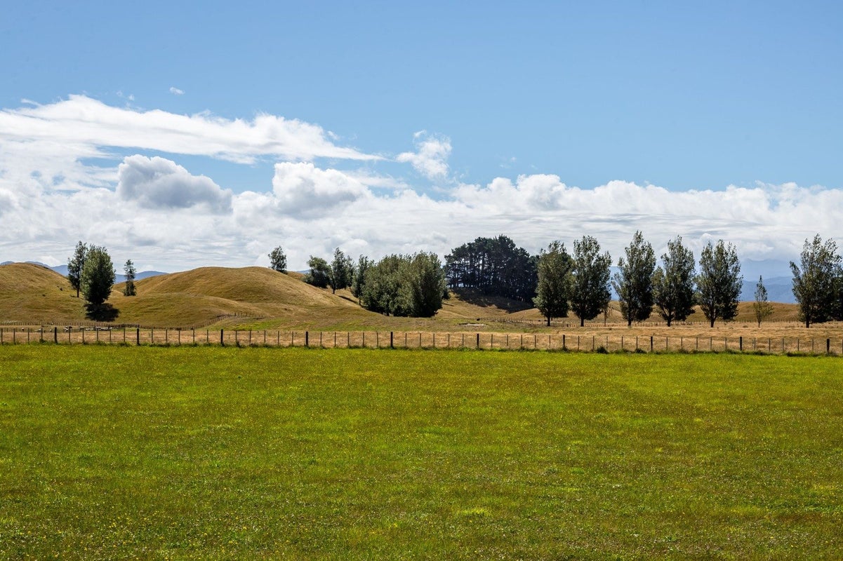 968 Kahutara Road, Kahutara - Carousel 21