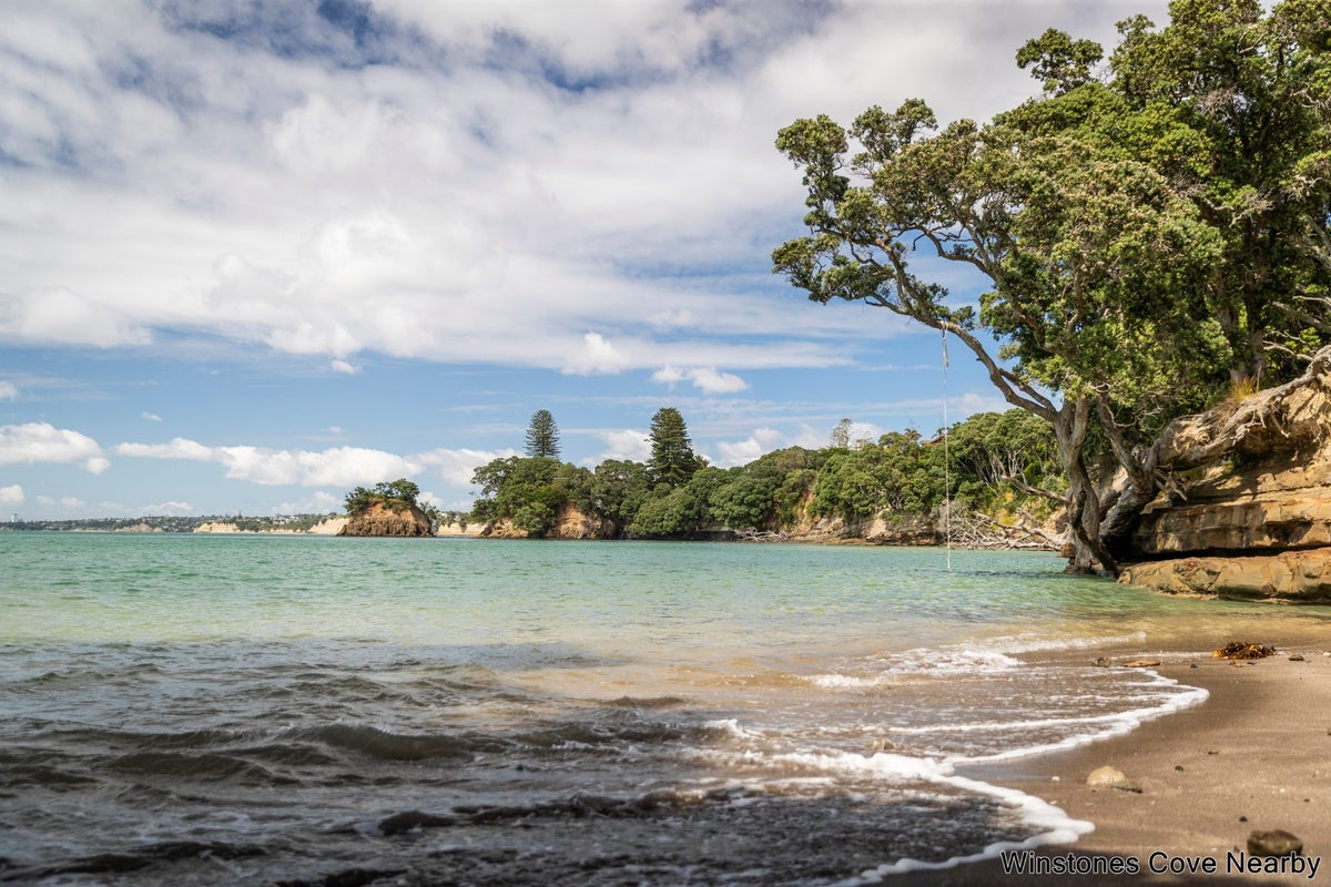2 Tipau Street, Torbay, Auckland - Carousel 33