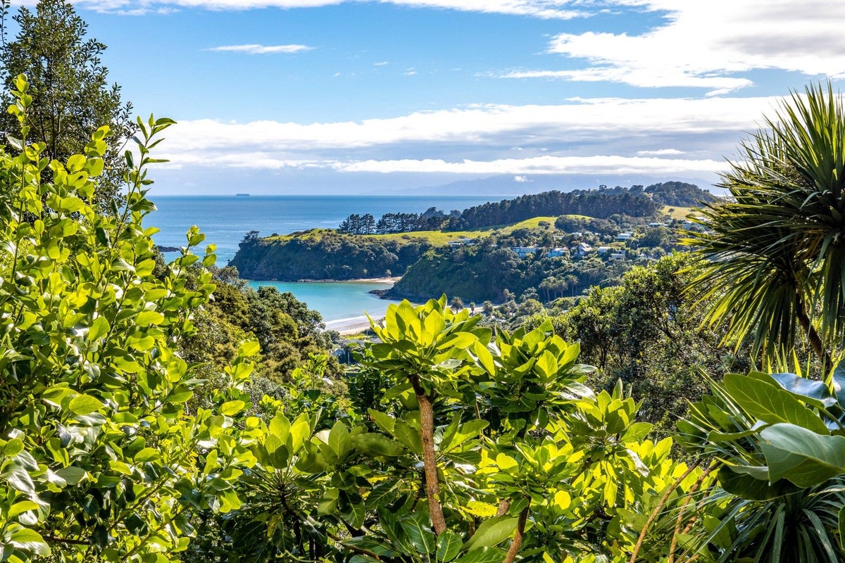 19 Cory Road, Palm Beach, Waiheke Island - Carousel 28