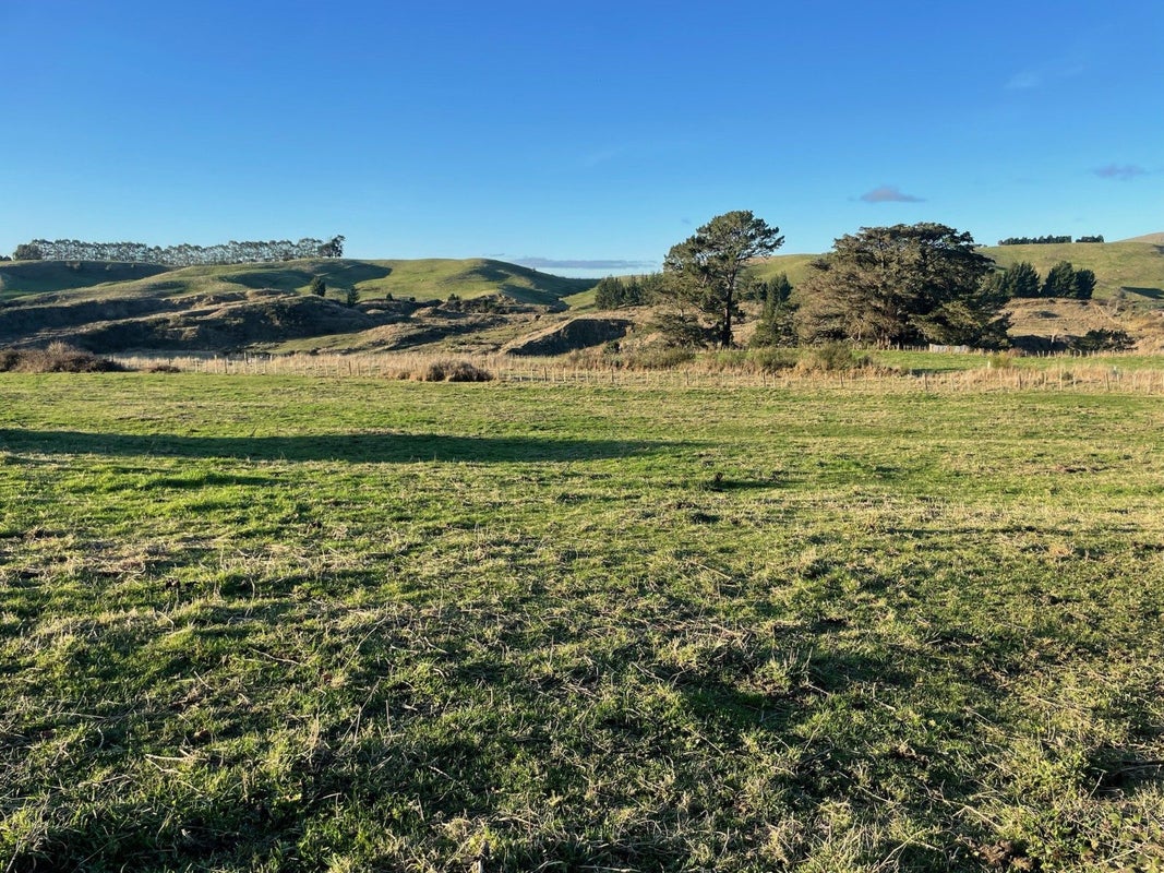 26 Carr Street, Dannevirke, Tararua, Manawatu / Whanganui - Carousel 1