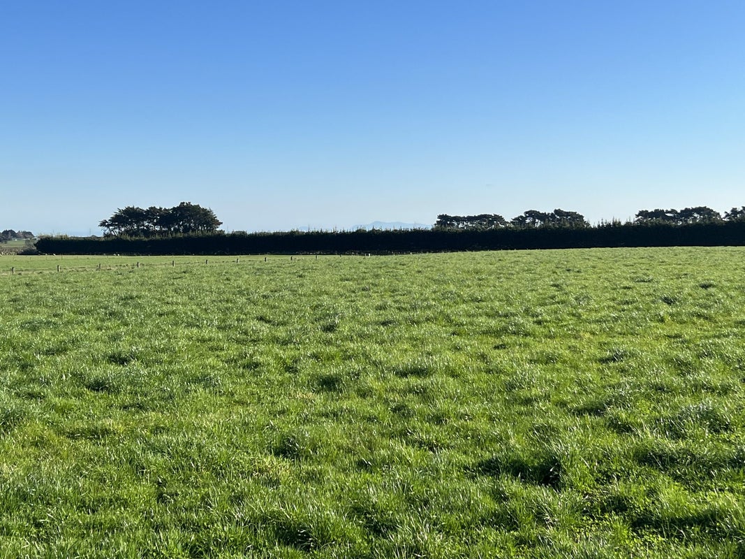 74 Dowling Road, LONGBUSH, INVERCARGILL - Carousel 2