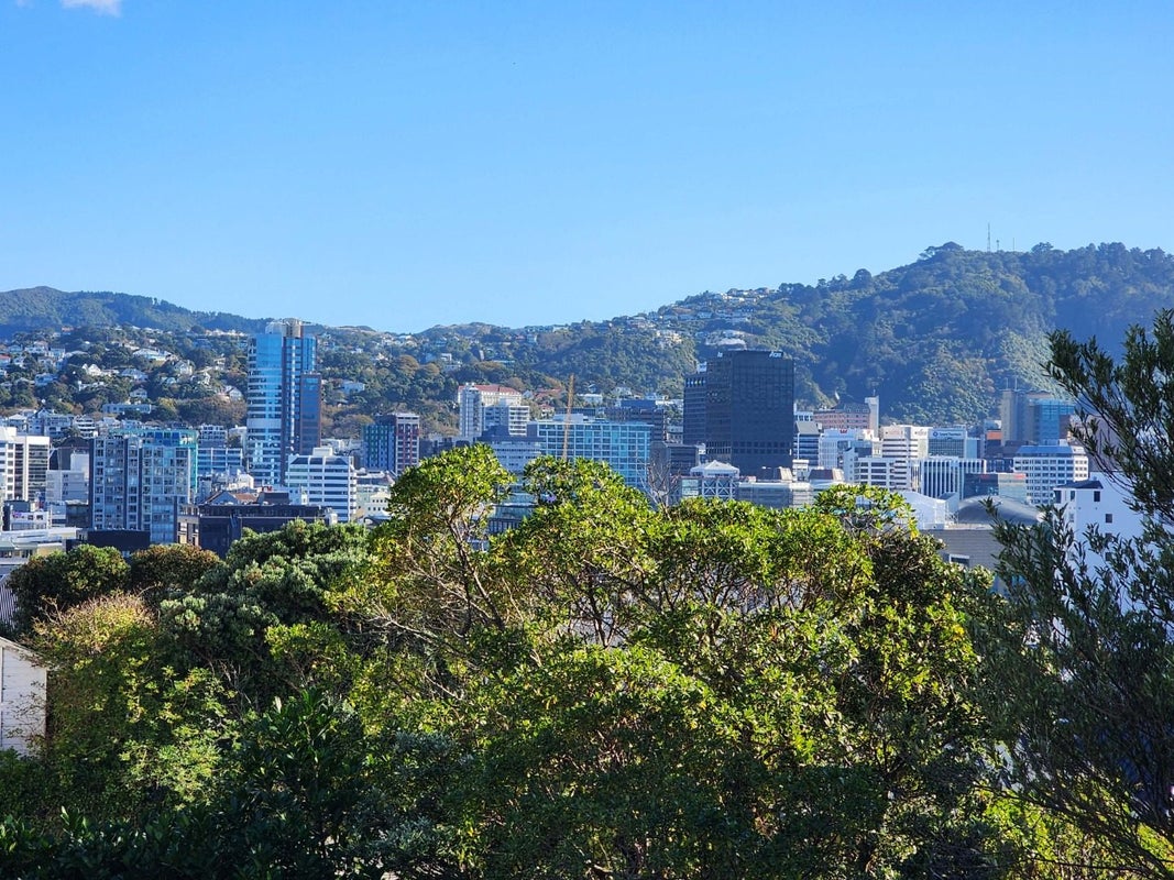 14 Austin Street, Mount Victoria, Wellington - Carousel 2