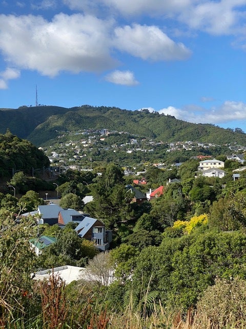 7 Jacobsen Lane, Ngaio, Wellington - Carousel 5