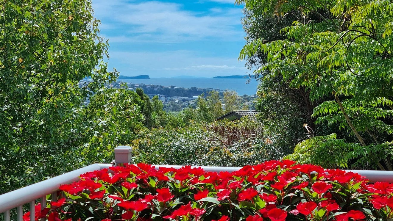 539A East Coast Road, Browns Bay, Auckland - Carousel 1