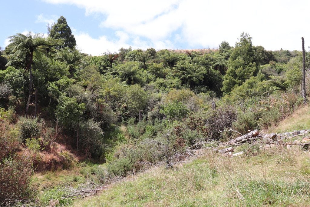178 Wilton Collieries Road, Ngaruawahia - Carousel 21