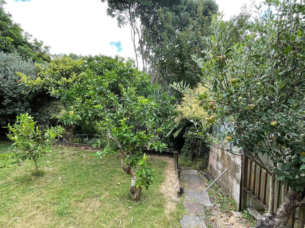 56 Belfast Street, Hillsborough, Auckland - Carousel 17