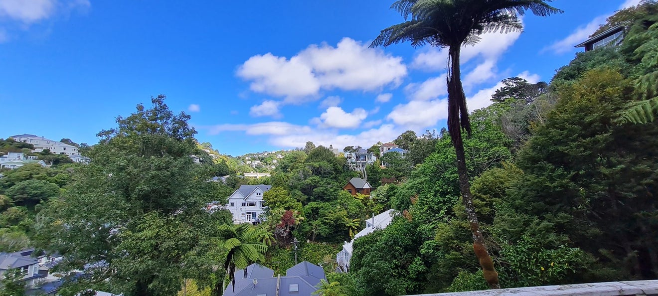 18 Garden Road, Northland, Wellington - Carousel 13