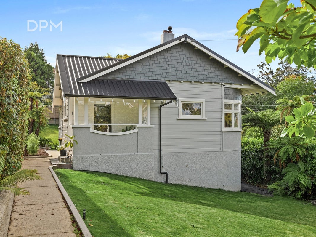 41 Leven Street, Roslyn, Dunedin - Carousel 20