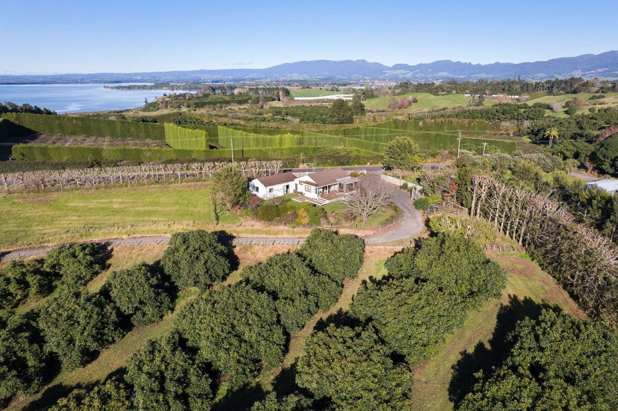 3/303 Point Chevalier Road, Point Chevalier, Auckland - Carousel 1