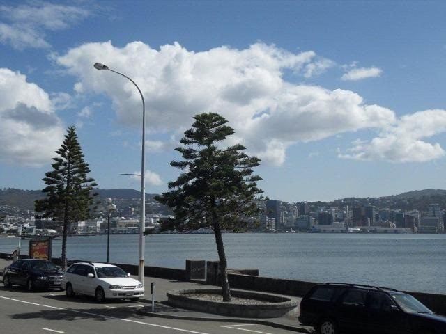 7/370 Oriental Parade, Oriental Bay, Wellington - Carousel 8