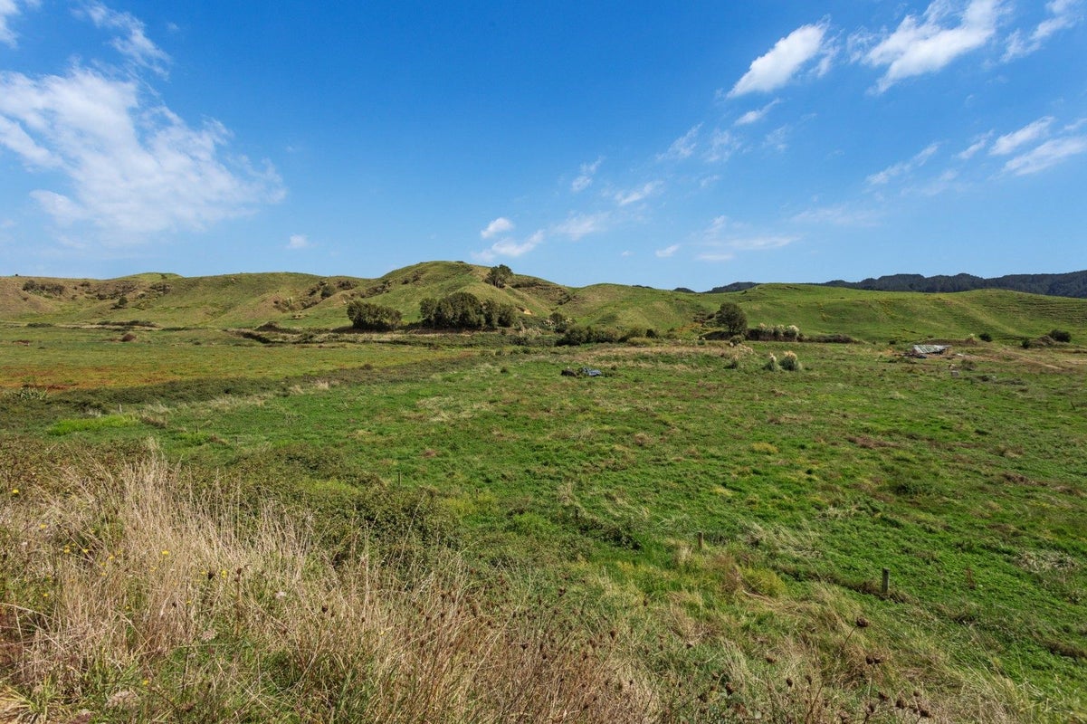 532 Foster Road, Taneatua, Whakatane - Carousel 2