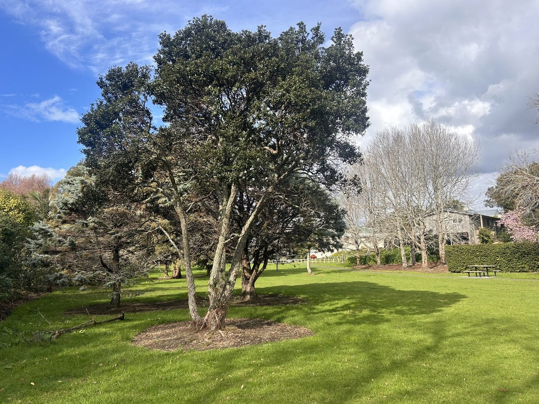 6/23 Belle Vue Avenue, Northcote Point, Auckland - Carousel 11