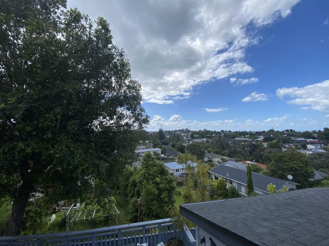 24A Lantana Road, Green Bay, Auckland - Carousel 22
