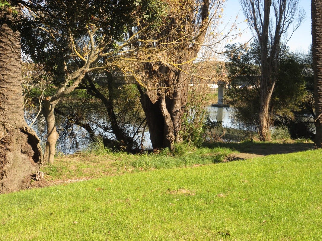 37 River Road, Paeroa, Paeroa - Carousel 22