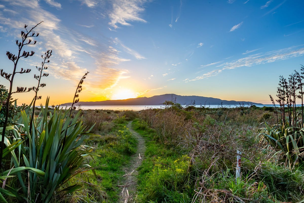 23 Nathan Avenue, Paraparaumu Beach, Paraparaumu - Carousel 24