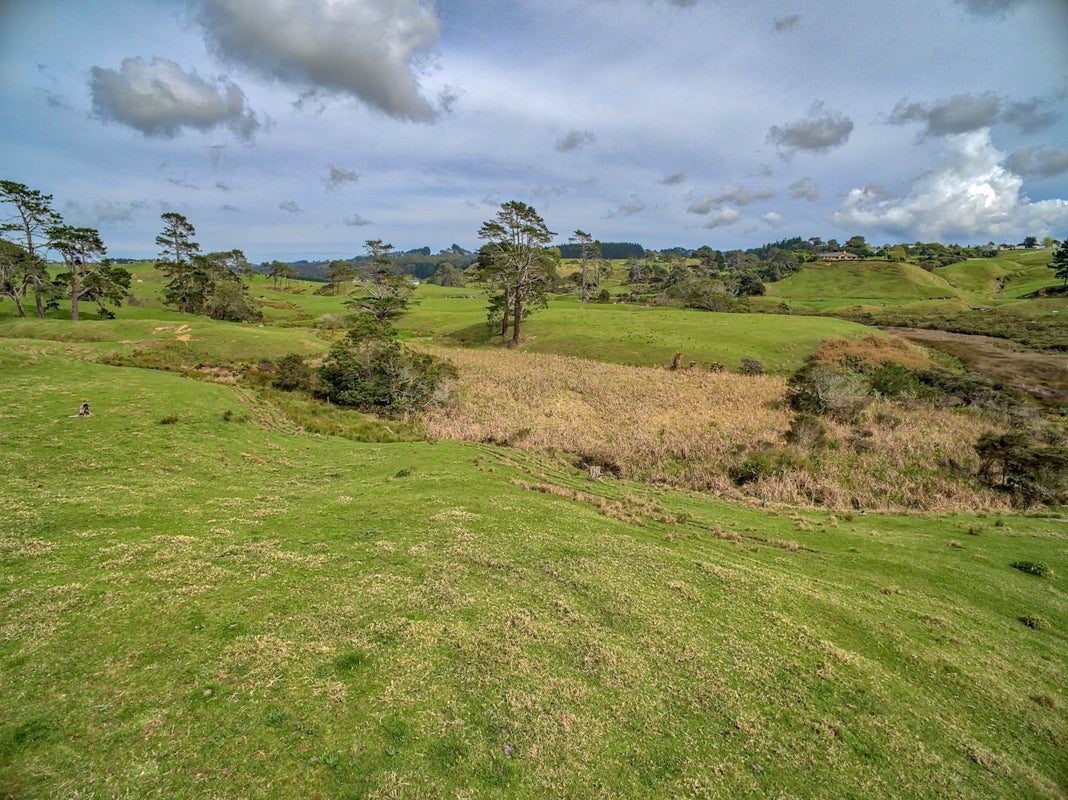 52 Taurangaruru Road, Waiuku, Waiuku - Carousel 10