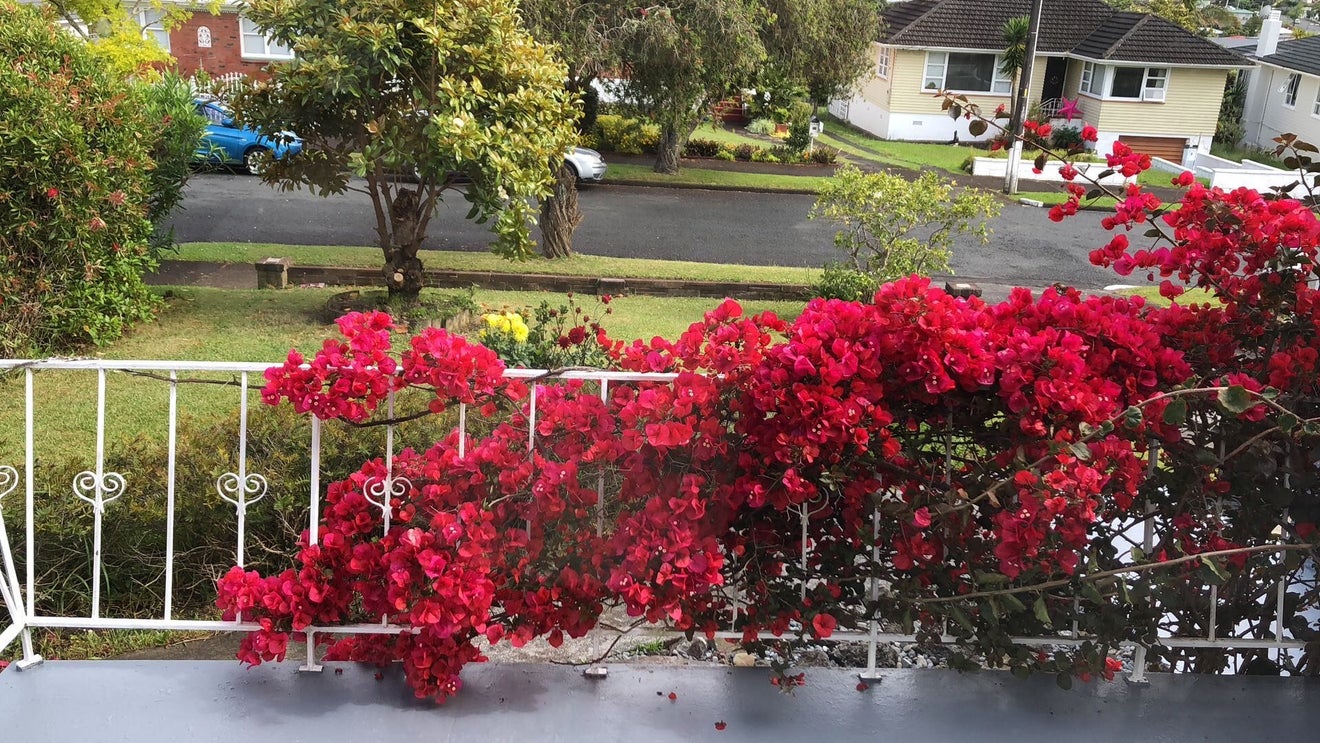 10 Dundee Place, Blockhouse Bay, Auckland - Carousel 2