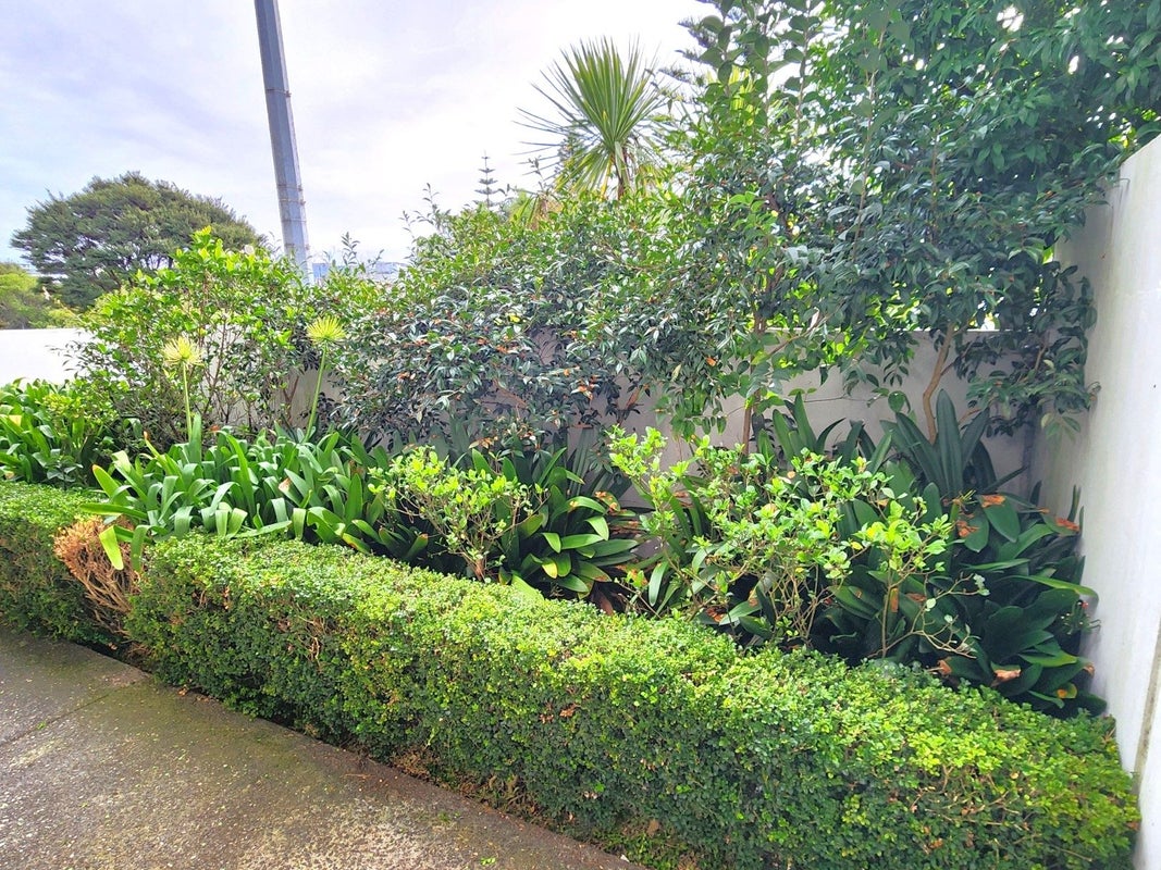 2H/6 Piwakawaka Street, Eden Terrace, Auckland - Carousel 17