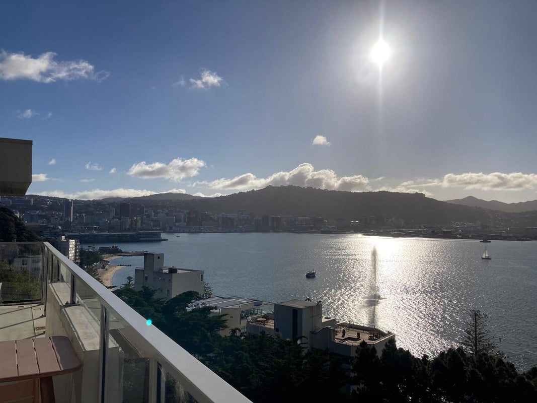 8/9 Wilkinson Street, Oriental Bay, Wellington - Carousel 1