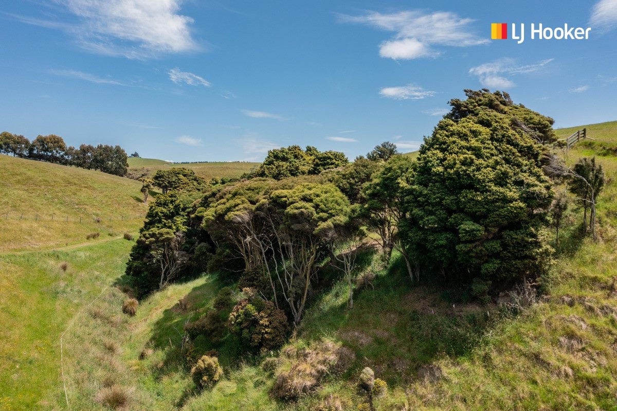 966 Taieri Mouth Road, Kuri Bush, Dunedin - Carousel 35