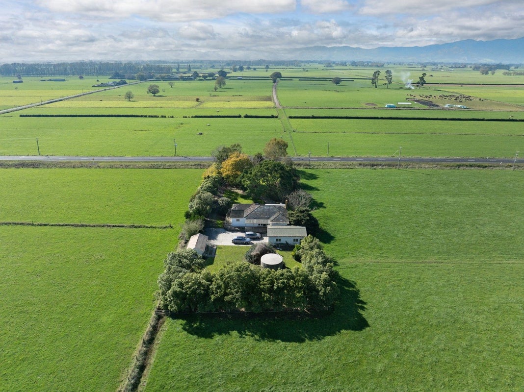 921 No 1 Road, Waitoa - Carousel 19