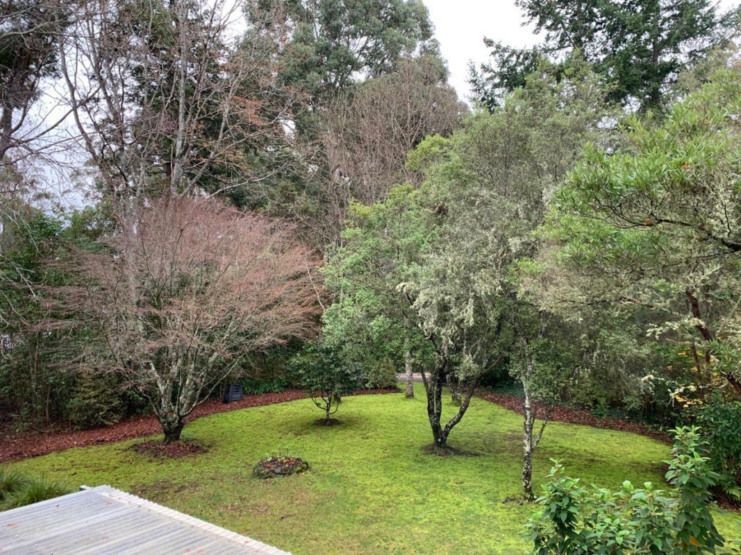 40 Aporo Road, Upper Moutere - Carousel 2