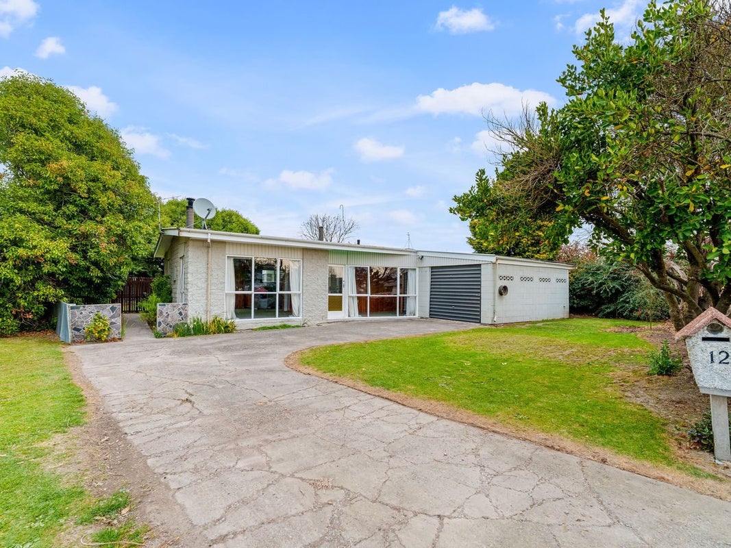 12 Carston Street, Leeston, Leeston - Carousel 1