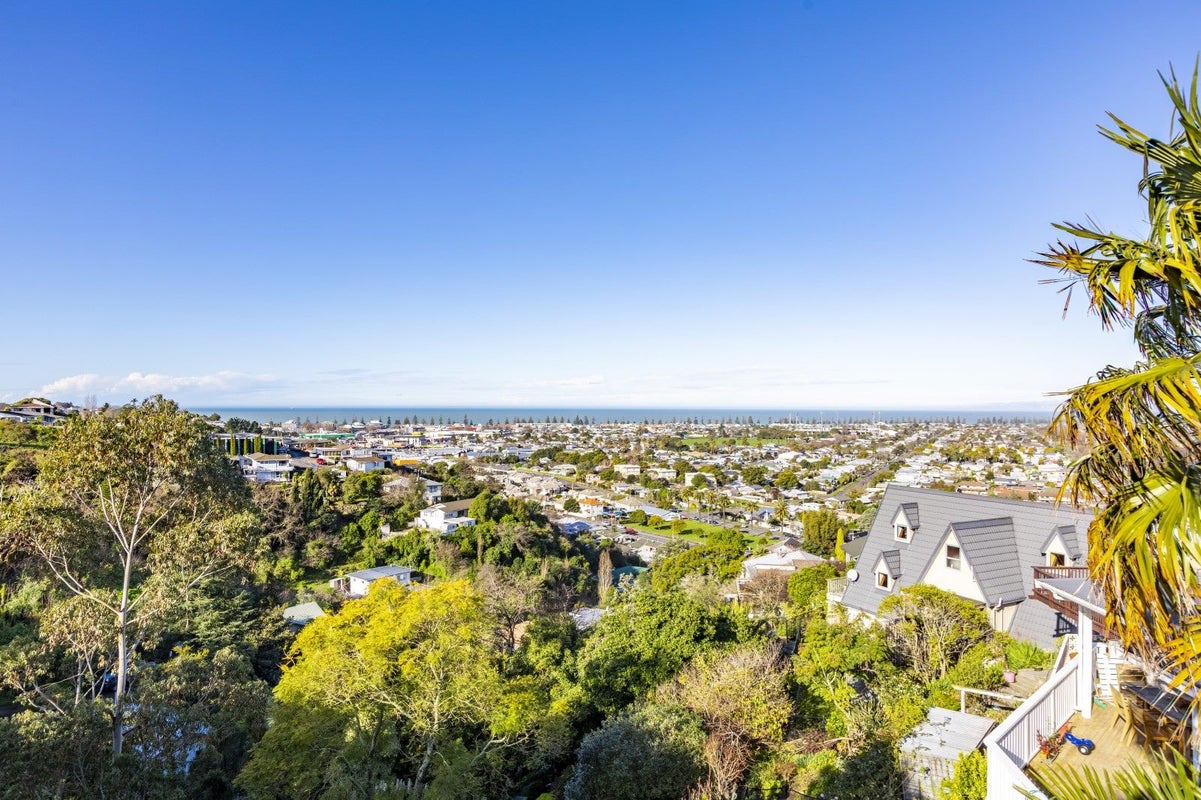 19 Havelock Road, Hospital Hill, Napier - Carousel 1