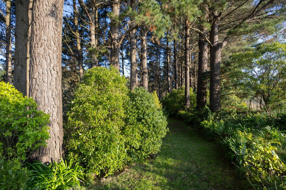 107 Ngahere Park Road, Turitea, Palmerston North - Carousel 29