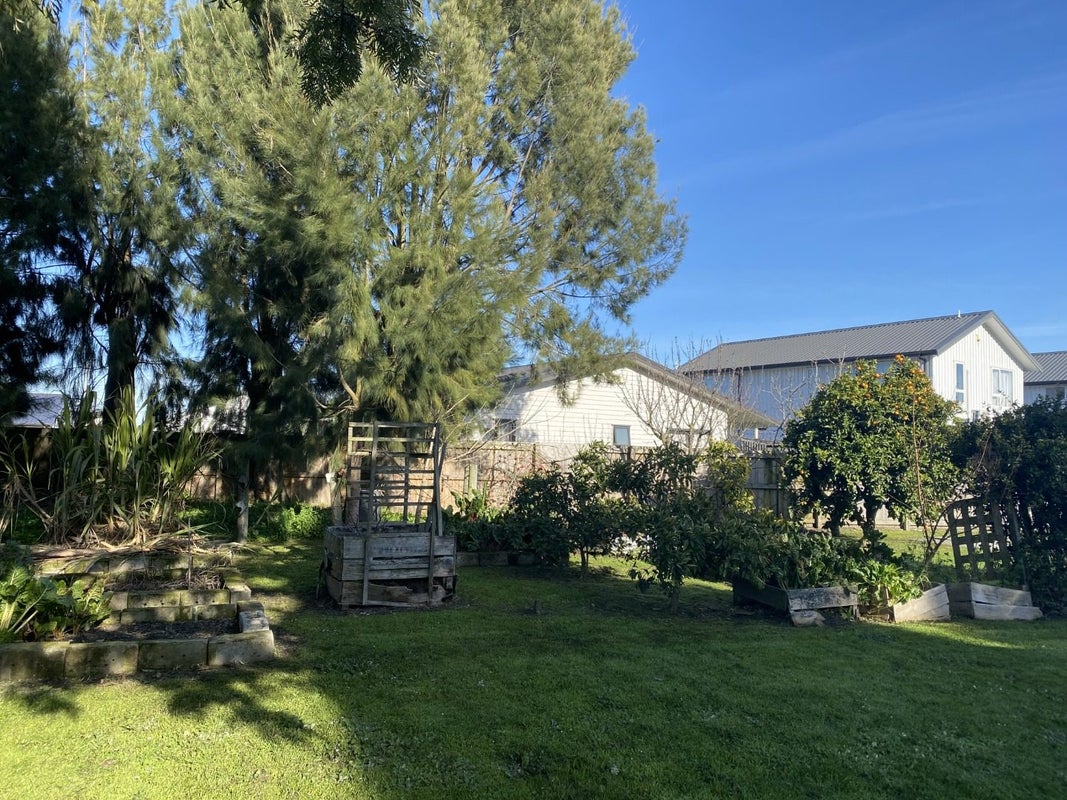 800A Oliphant Road, Raureka, Hastings - Carousel 15