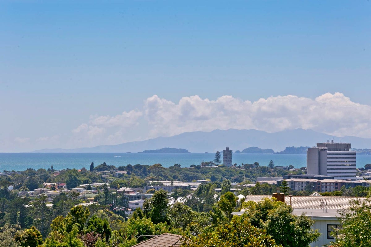 126C Coronation Road, Hillcrest, Auckland - Carousel 2