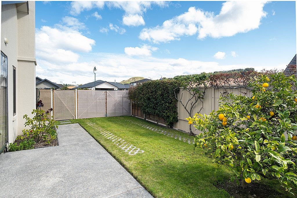 12 Malbec Way, Greenmeadows, Napier - Carousel 21