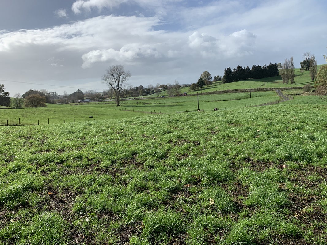 352 Otorohanga Road, Tokanui, Te Awamutu - Carousel 2