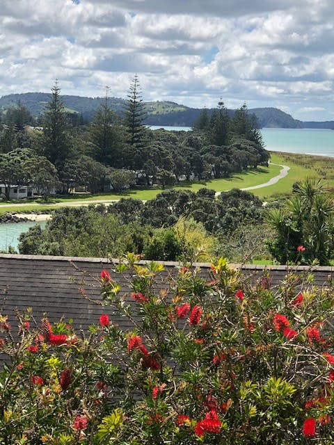 41 Rosario Crescent, Red Beach, Red Beach - Carousel 2
