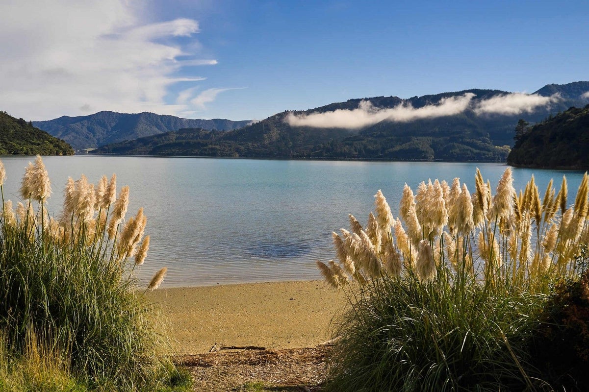 3582 Kenepuru, BLACK ROCK, MARLBOROUGH SOUNDS - Carousel 1
