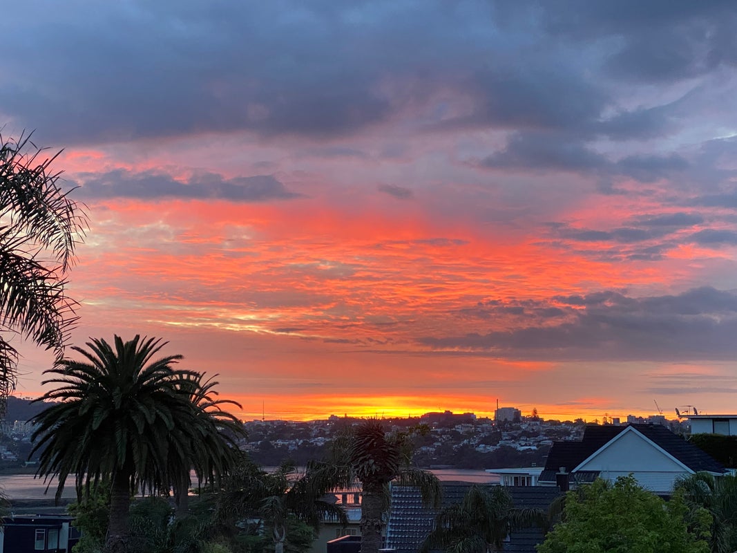 140D Paritai Drive, Orakei, Auckland - Carousel 2