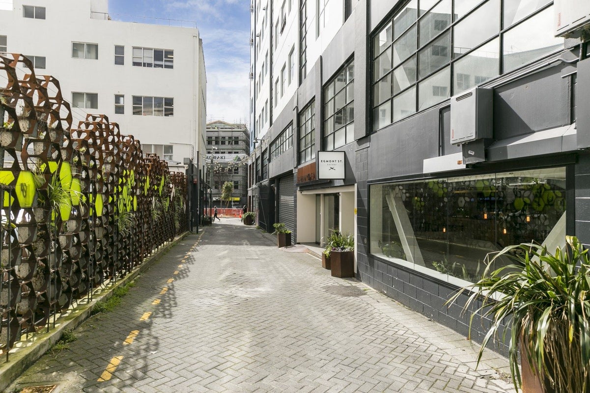 4/20 Egmont Street, Te Aro, Wellington - Carousel 10