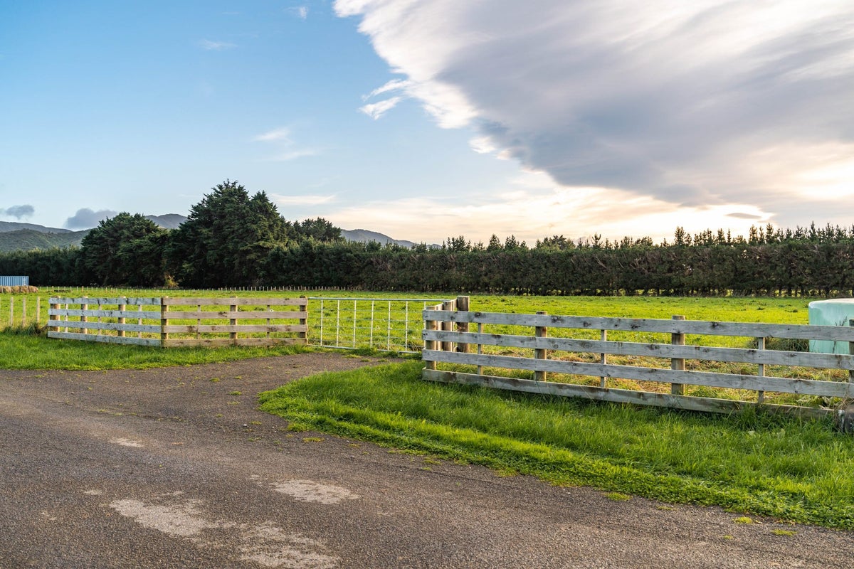64B Thomas Road, Carrington, Carterton - Carousel 9