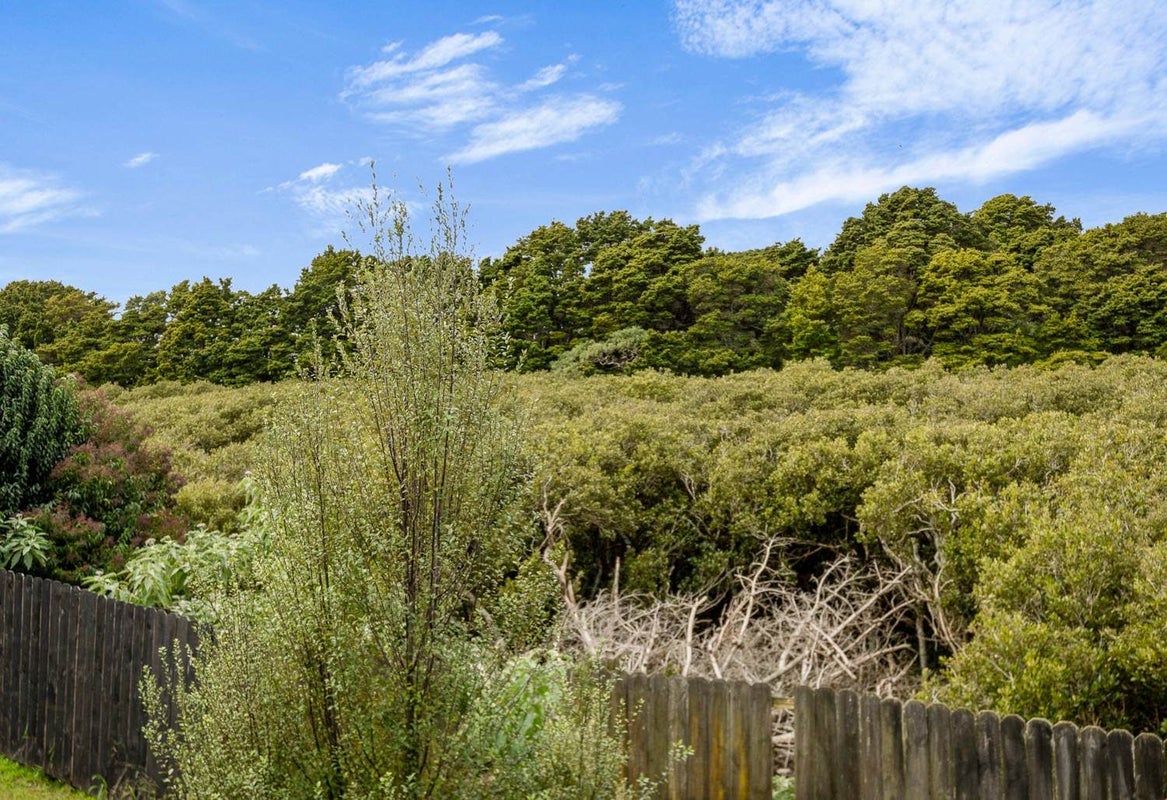2/33 Seaward Place, Wattle Downs, Auckland - Carousel 24