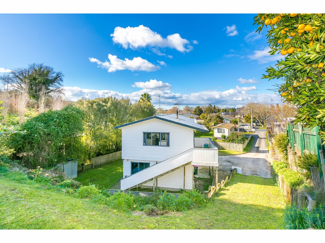 20 Johnson Street, Dinsdale, Hamilton - Carousel 21