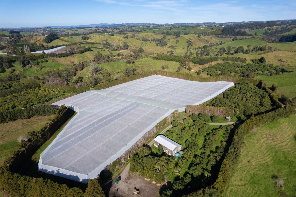 231 Walford Road, Aongatete, Katikati - Carousel 2