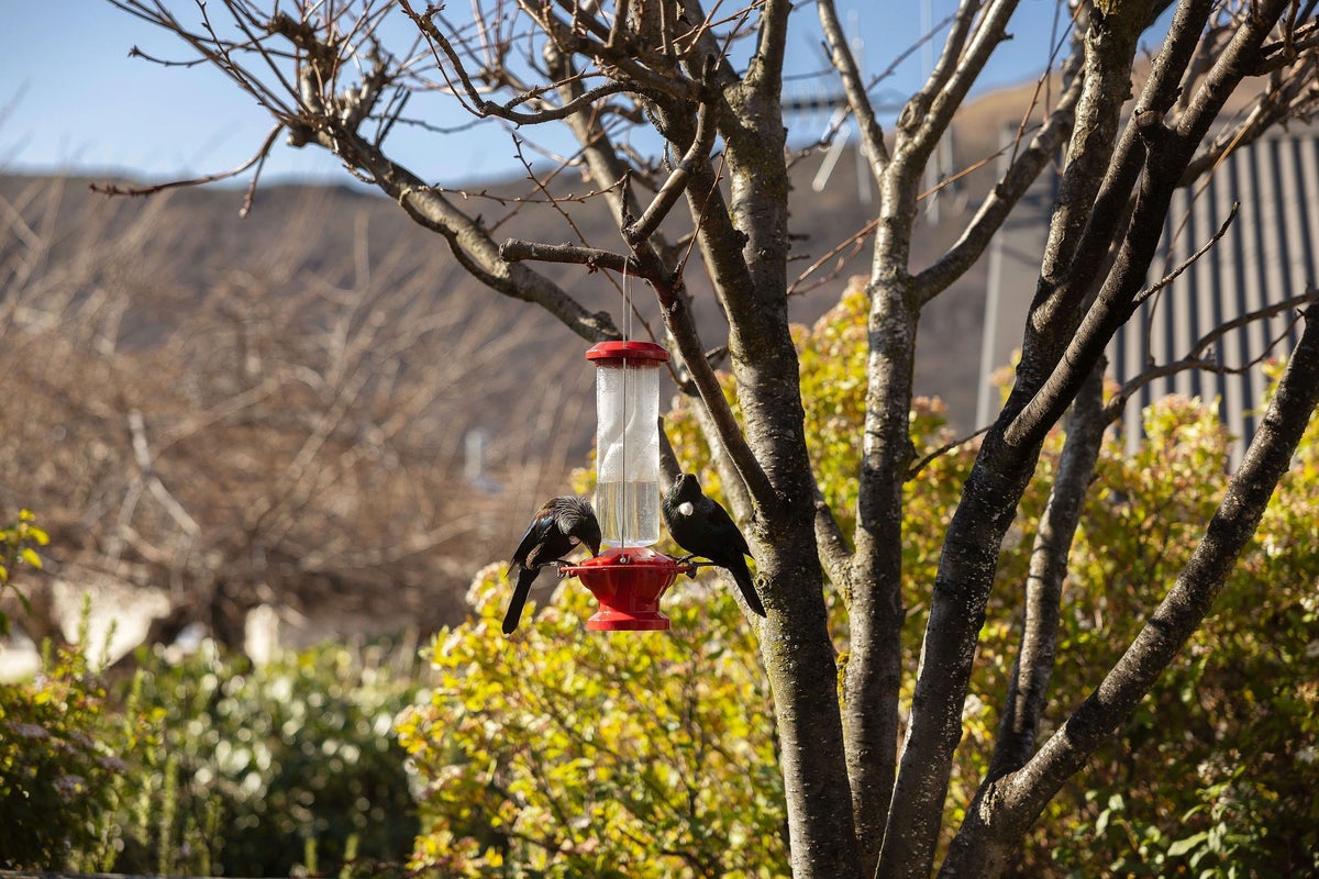 84 Cotter Avenue, Arrowtown, Arrowtown - Carousel 23
