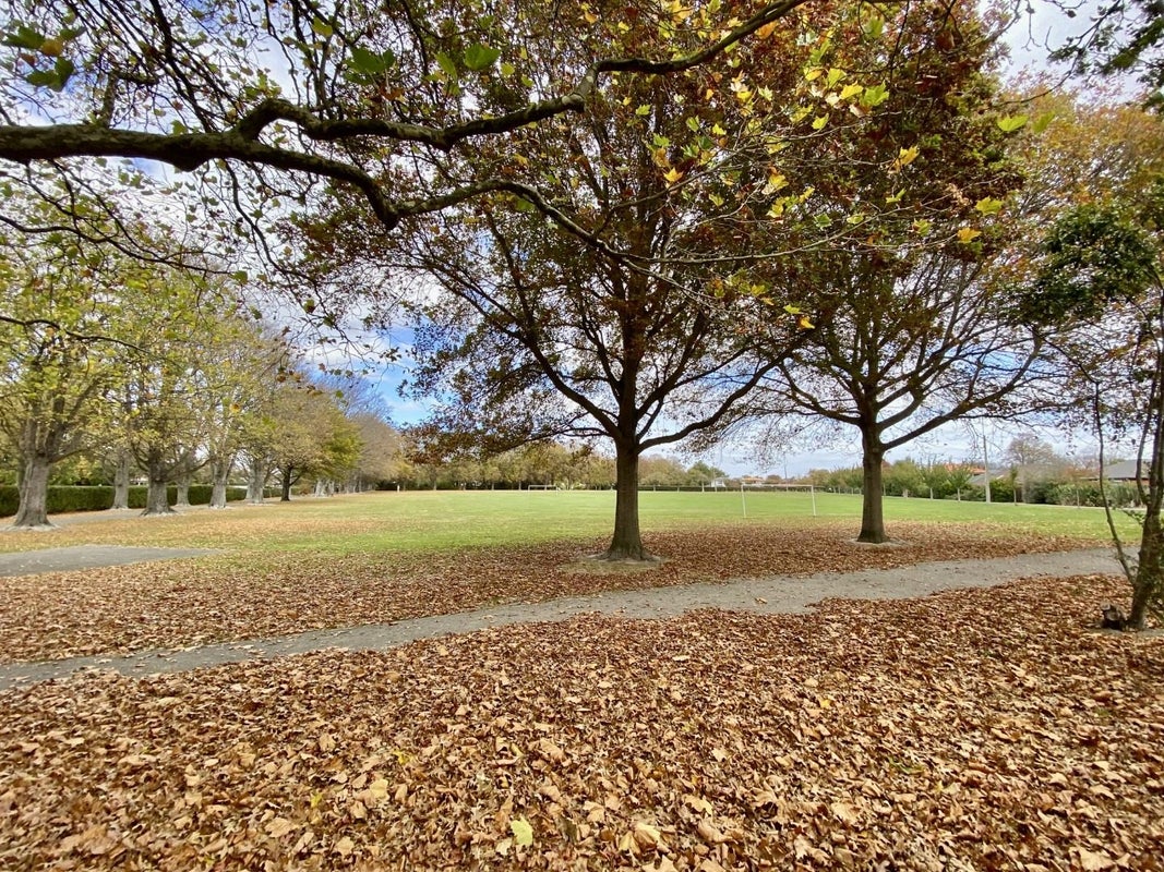 7/27 Harewood Road, Papanui, Christchurch - Carousel 16