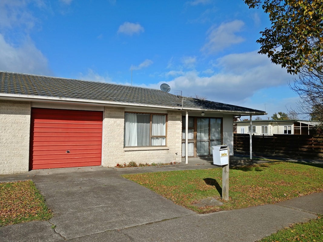 290A Tremaine Avenue, Takaro, Palmerston North - Carousel 12